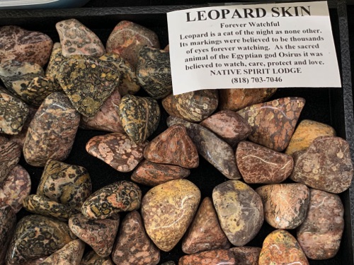 Leopard Skin Leopard Skin